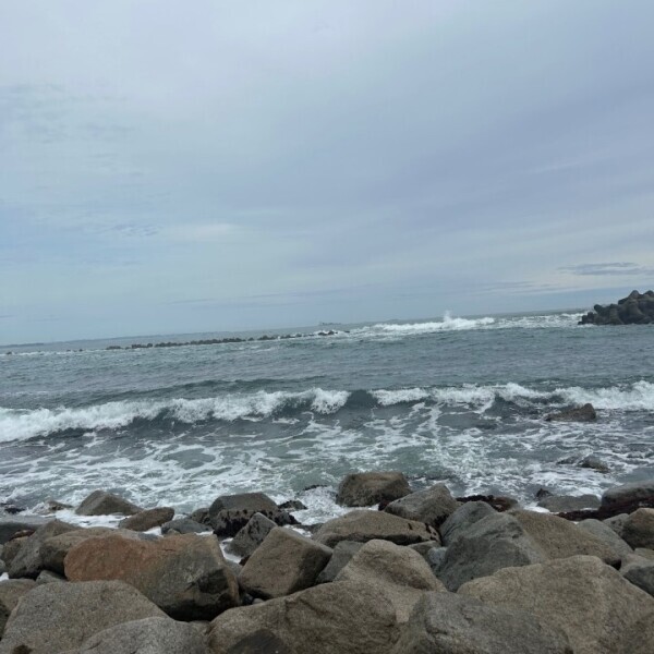 ⊹⁺⸜(ᐡ⸝ɞ̴̶̷ ·̮ ɞ̴̶̷⸝ᐡ)⸝⁺⊹