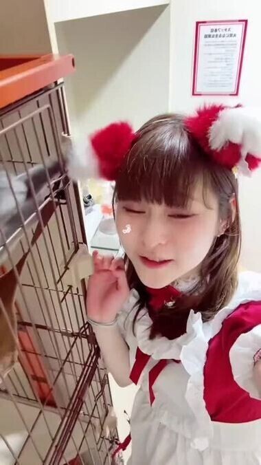 月曜日から水戸市民🐑