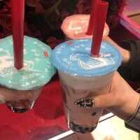 明後日から！