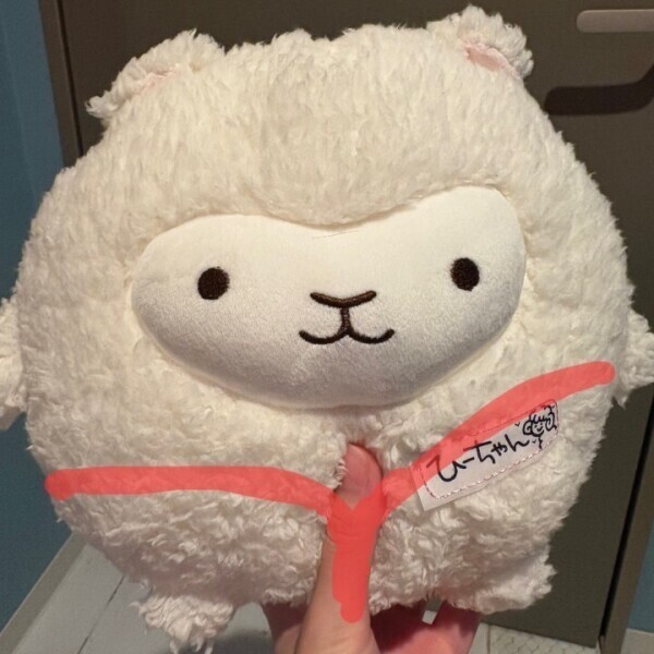 時間いっぱい1番奥に🐑