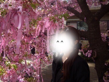 お花見した？？🌸