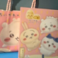 昨日のお礼達💌