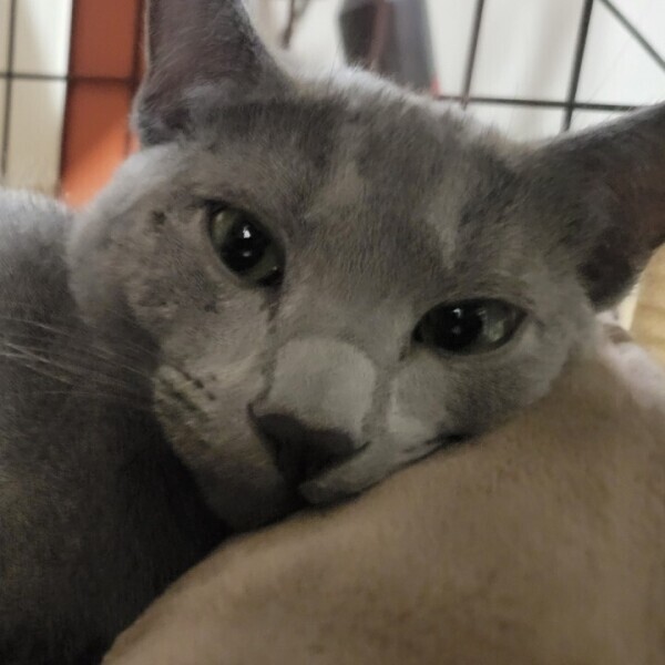 えびすーーーー