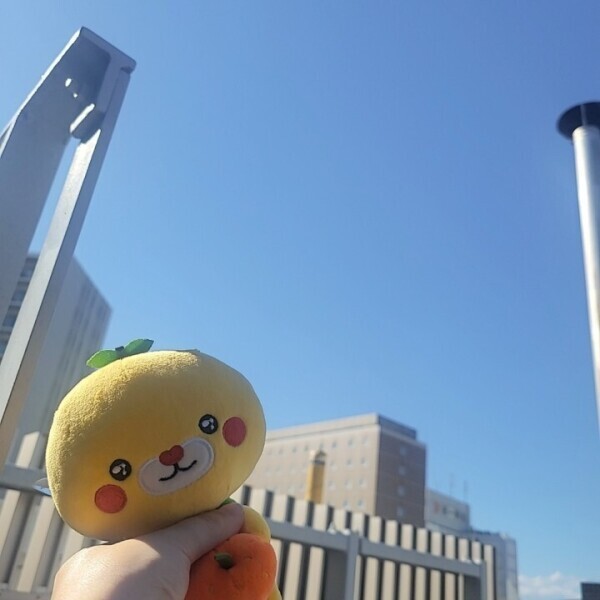 いい天気🌞