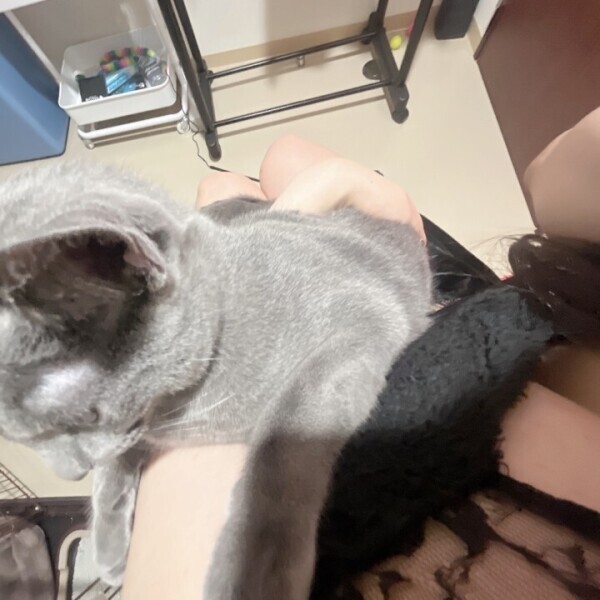 締めえ♡ち