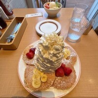 差し入れについて🌟
