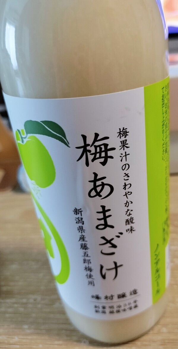 🍙新潟旅行日記③