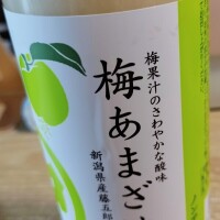 🍙新潟旅行日記③