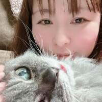 土曜日、日曜日
