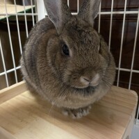 出勤しました！！