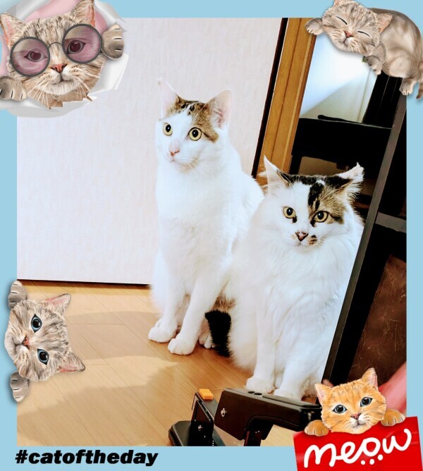 🐈️親子🐈️