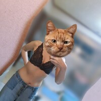 朝からパンツ濡らして待ってたの、誰のせいだと思う？