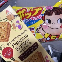 お気に入り(*´◒`*)