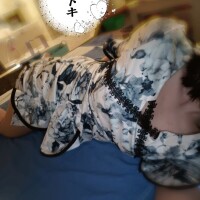 「抱きしめられたまま、なにも考えられなかった…」