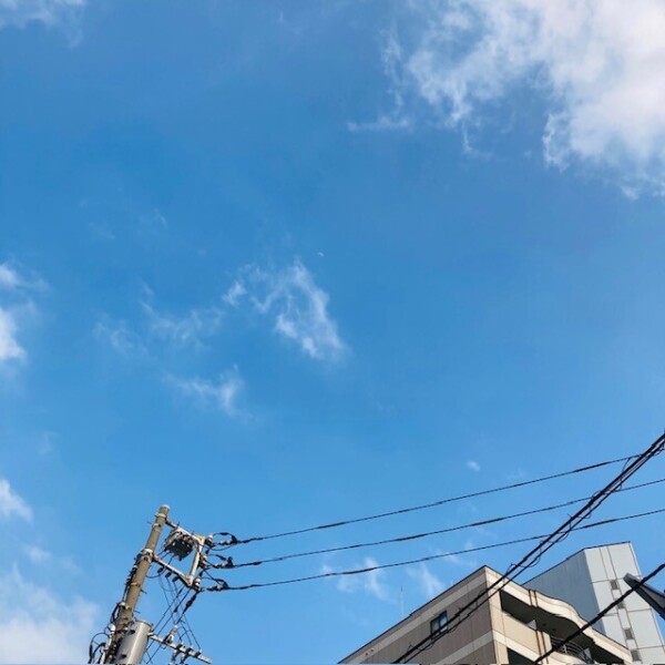 image3.jpeg