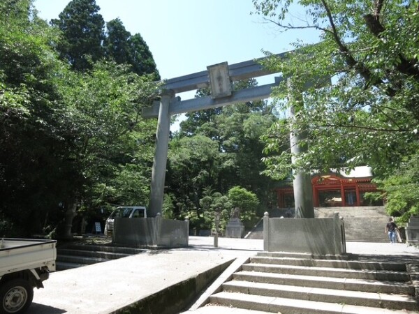 image4.jpeg