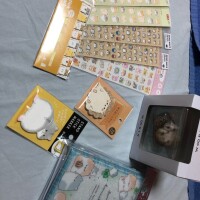 ついた⊂( ᴖ ̫ᴖ)⊃⊂(ᴖ ̫ᴖ  )⊃
