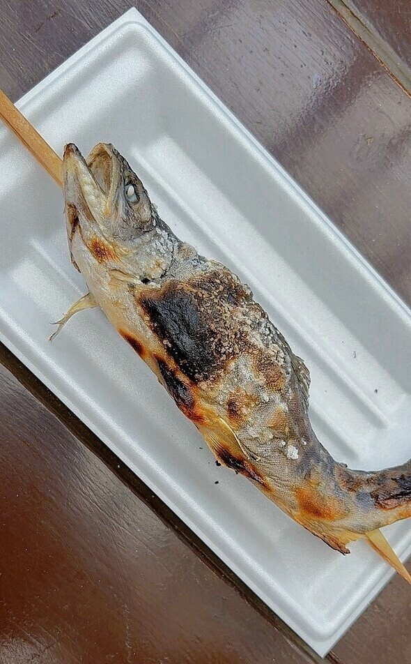 🐟川魚