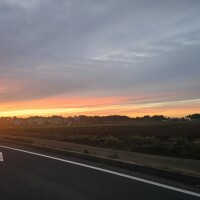 本日はごめんなさい