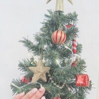 おはようございます☀️