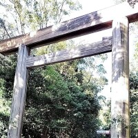 ⛩名古屋旅行日記①