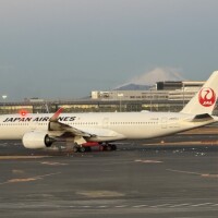 おはようございます♪