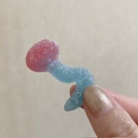 嘘はダメよ🫶