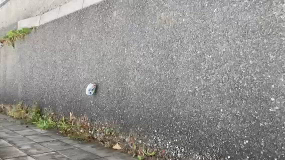 鼻息心配🫤
