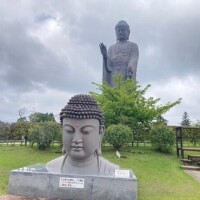 せれな