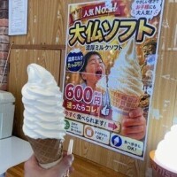 せれな