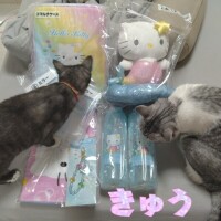 推し活～?