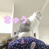 神々しい