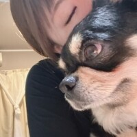 おやすみ?