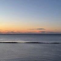 こむぎ