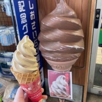 せれな