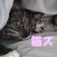 明日いるよん♪