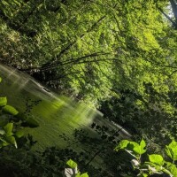 切ない気持ちになるのは秋のせい?