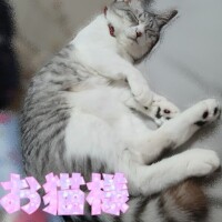お酒弱かったの忘れてた