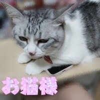 幸せな邪魔