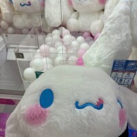 初の?