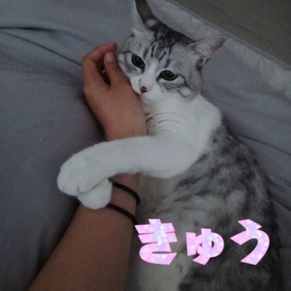 早退します!すみません!