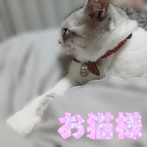 明日復活します!