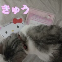 ぎふとげーと