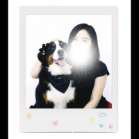 遊び女の散文