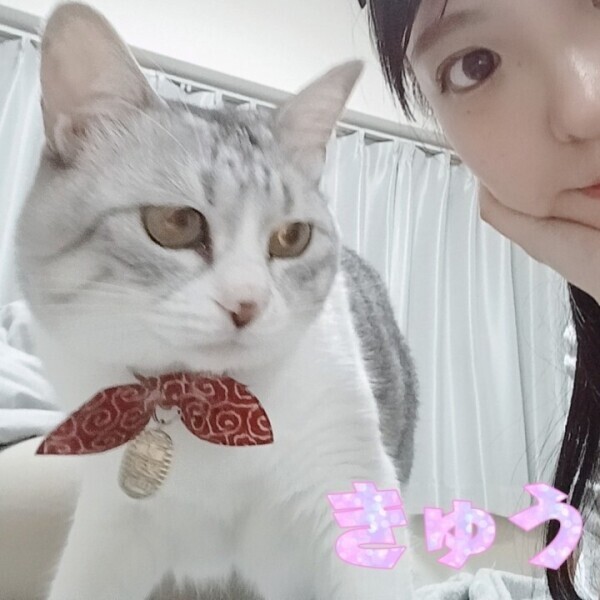 カメラ意識しすぎ猫