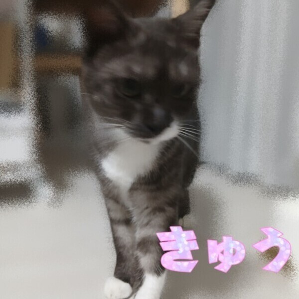 明日17時から♪