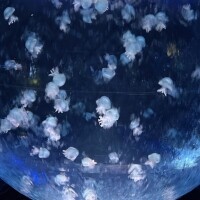吉原だよ!