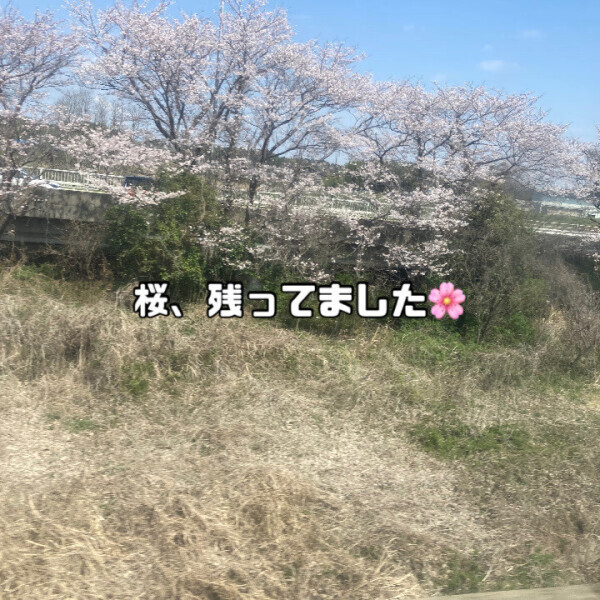 まひろの空旅～福岡編～