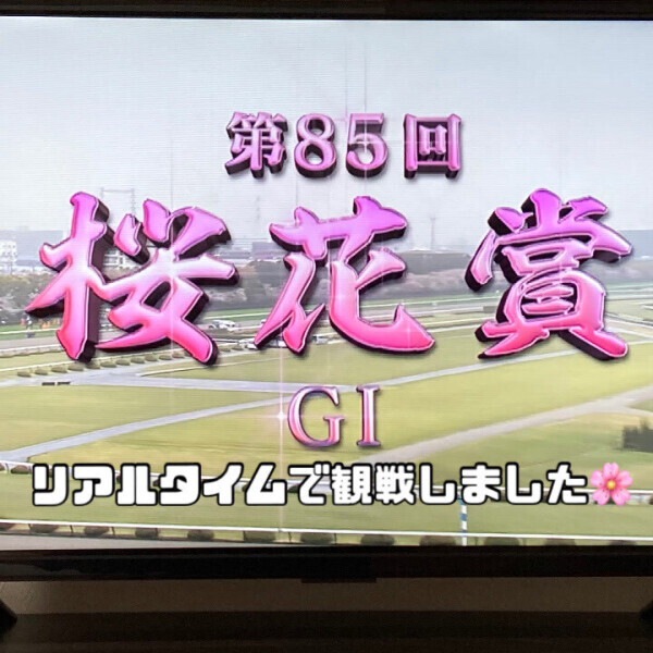 まひろの空旅～福岡編～?