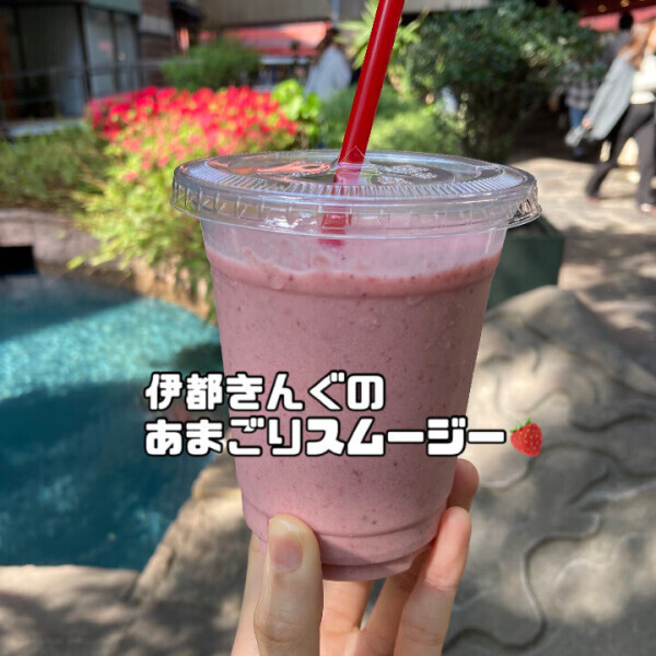 まひろの空旅～福岡編～?